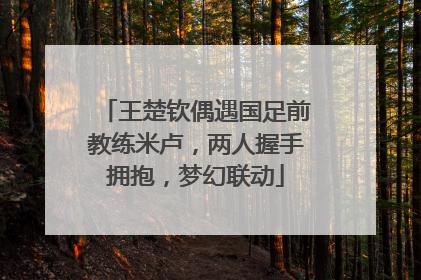 王楚钦偶遇国足前教练米卢，两人握手拥抱，梦幻联动