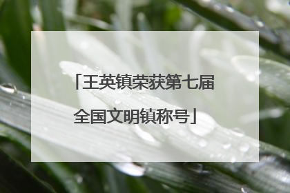 王英镇荣获第七届全国文明镇称号