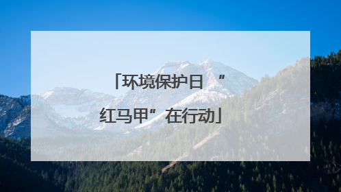 环境保护日 “红马甲”在行动