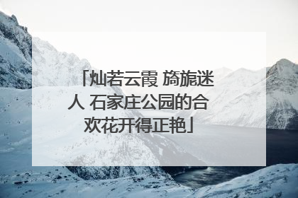 灿若云霞 旖旎迷人 石家庄公园的合欢花开得正艳