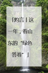 灼言丨这一年，看山东的“绿色答卷”