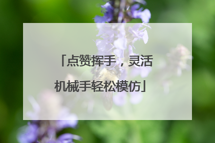 点赞挥手，灵活机械手轻松模仿