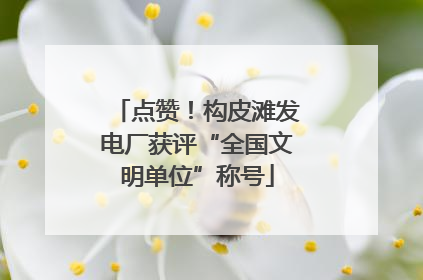 点赞！构皮滩发电厂获评“全国文明单位”称号