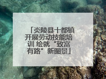 炎陵县十都镇开展劳动技能培训 绘就“致富有路”新图景