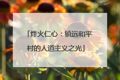 烽火仁心：镇远和平村的人道主义之光