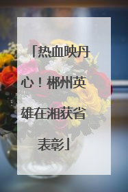 热血映丹心！郴州英雄在湘获省表彰