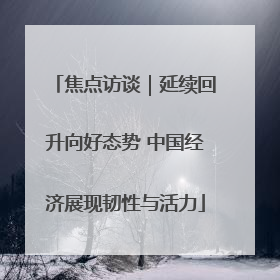 焦点访谈｜延续回升向好态势 中国经济展现韧性与活力