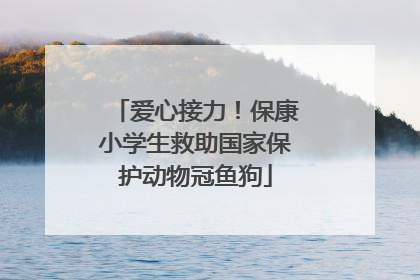 爱心接力！保康小学生救助国家保护动物冠鱼狗