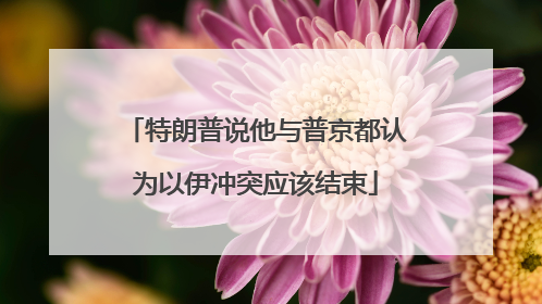 特朗普说他与普京都认为以伊冲突应该结束