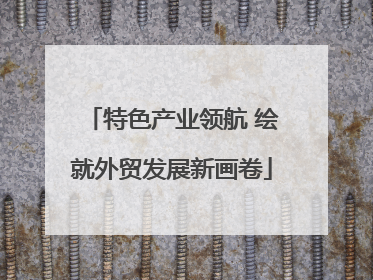 特色产业领航 绘就外贸发展新画卷