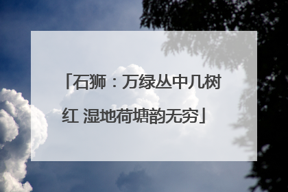 石狮：万绿丛中几树红 湿地荷塘韵无穷