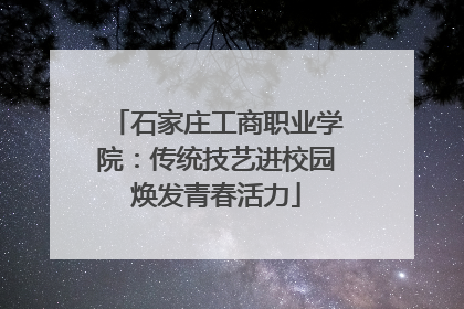 石家庄工商职业学院：传统技艺进校园焕发青春活力