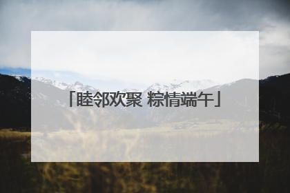 睦邻欢聚 粽情端午