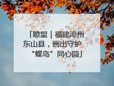 瞭望｜福建漳州东山县，画出守护“蝶岛”同心圆