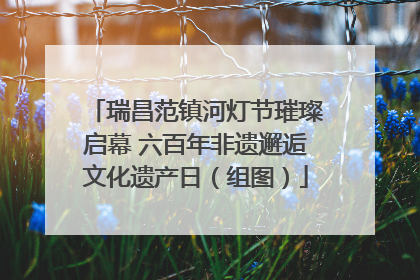 瑞昌范镇河灯节璀璨启幕 六百年非遗邂逅文化遗产日（组图）