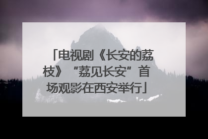 电视剧《长安的荔枝》“荔见长安”首场观影在西安举行