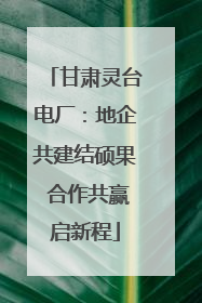 甘肃灵台电厂：地企共建结硕果 合作共赢启新程