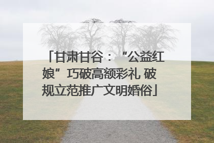 甘肃甘谷：“公益红娘”巧破高额彩礼 破规立范推广文明婚俗