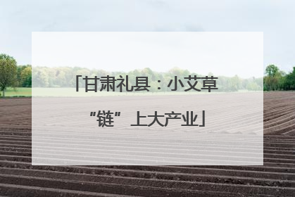 甘肃礼县：小艾草“链”上大产业