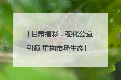 甘肃福彩：强化公益引领 重构市场生态