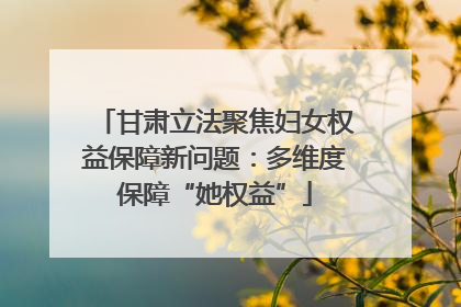 甘肃立法聚焦妇女权益保障新问题：多维度保障“她权益”