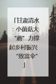 甘肃清水：小菌菇大“蘑”力撑起乡村振兴“致富伞”