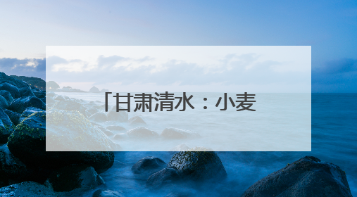 甘肃清水：小麦管理正当时 守护粮“芯”绘丰景
