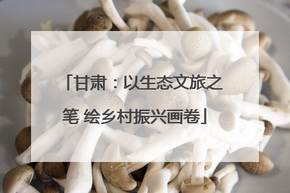 甘肃：以生态文旅之笔 绘乡村振兴画卷