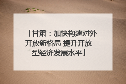 甘肃：加快构建对外开放新格局 提升开放型经济发展水平