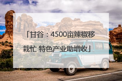 甘谷：4500亩辣椒移栽忙 特色产业助增收