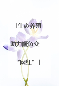 生态养殖助力鳜鱼变“网红”