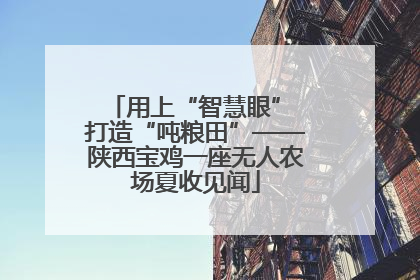 用上“智慧眼” 打造“吨粮田”——陕西宝鸡一座无人农场夏收见闻