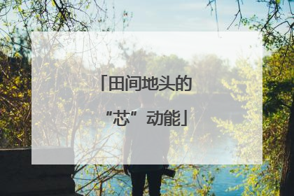 田间地头的“芯”动能