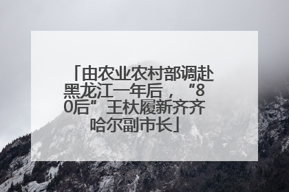 由农业农村部调赴黑龙江一年后，“80后”王杕履新齐齐哈尔副市长