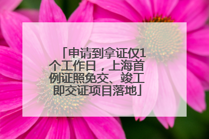 申请到拿证仅1个工作日，上海首例证照免交、竣工即交证项目落地
