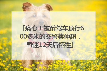 痛心！被醉驾车顶行600多米的交警蒋仲超，昏迷12天后牺牲