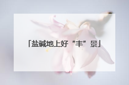 盐碱地上好“丰”景