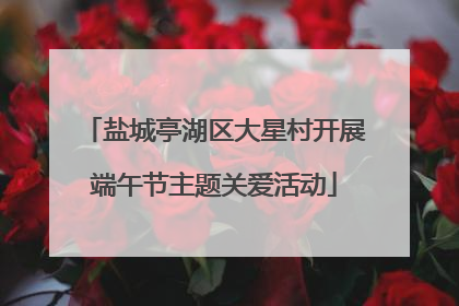 盐城亭湖区大星村开展端午节主题关爱活动