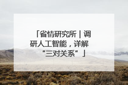 省情研究所｜调研人工智能，详解“三对关系”