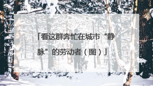 看这群奔忙在城市“静脉”的劳动者（图）