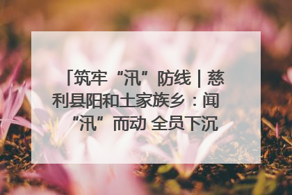 筑牢“汛”防线｜慈利县阳和土家族乡：闻“汛”而动 全员下沉筑牢防汛“安全堤”