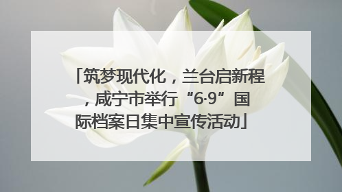 筑梦现代化，兰台启新程，咸宁市举行“6·9”国际档案日集中宣传活动