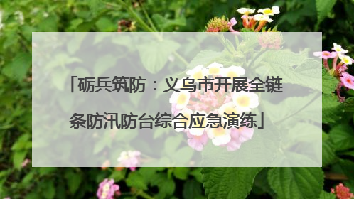 砺兵筑防：义乌市开展全链条防汛防台综合应急演练