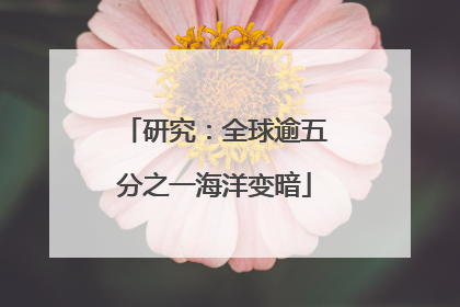 研究：全球逾五分之一海洋变暗