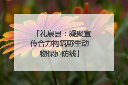 礼泉县：凝聚宣传合力构筑野生动物保护防线