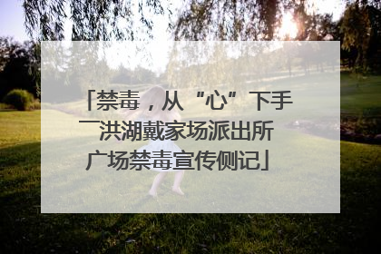 禁毒，从“心”下手――洪湖戴家场派出所广场禁毒宣传侧记