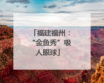福建福州：“金鱼秀”吸人眼球