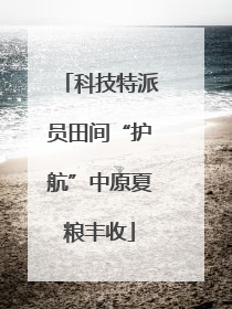 科技特派员田间“护航”中原夏粮丰收