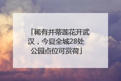 稀有并蒂莲花开武汉，今夏全城28处公园点位可赏荷