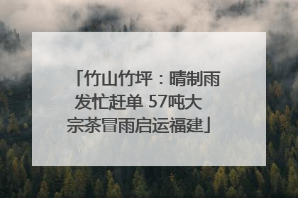 竹山竹坪：晴制雨发忙赶单 57吨大宗茶冒雨启运福建